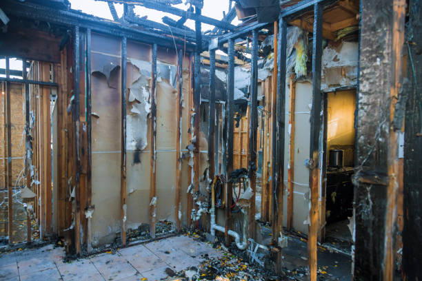 Professional Smoke Damage Removal technician working in Dearborn, MI